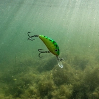 Salmo Hornet Floating Lures